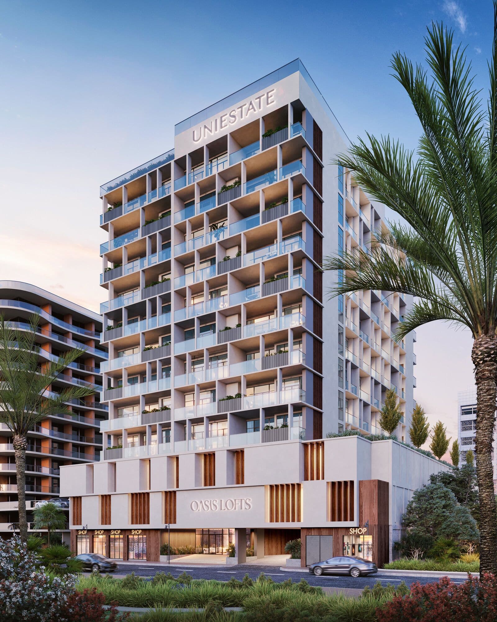 Oasis Lofts, Dubai Silicon Oasis, Dubai, photo 3